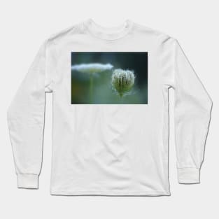 Stages ~ flower & seedpod Long Sleeve T-Shirt